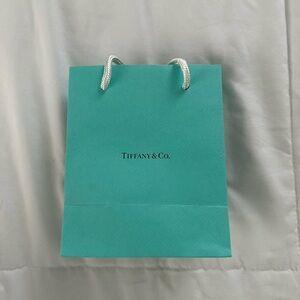 Tiffany bag 20 dlls